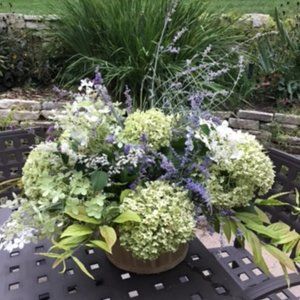 Meet your Posher, Stella